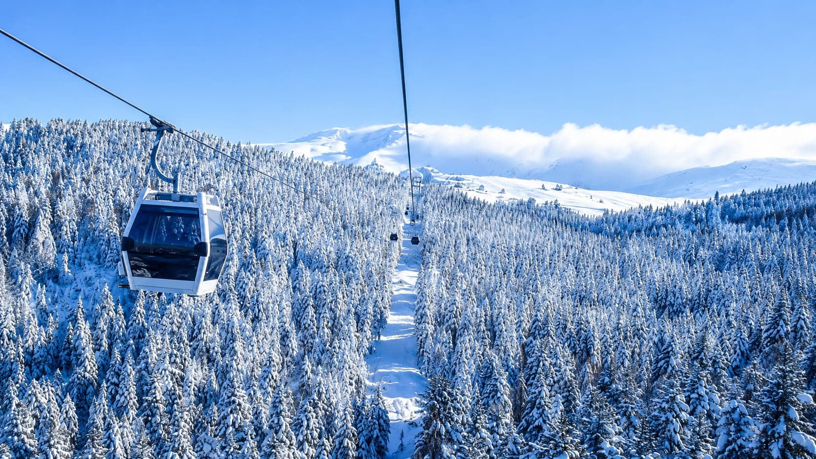 A gondola over the snow-covered pine forest of Mount Uludağ